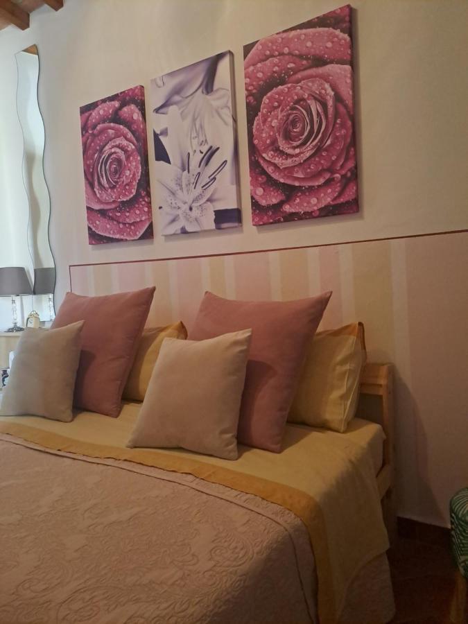 Il Rustichello Appartement Pisa